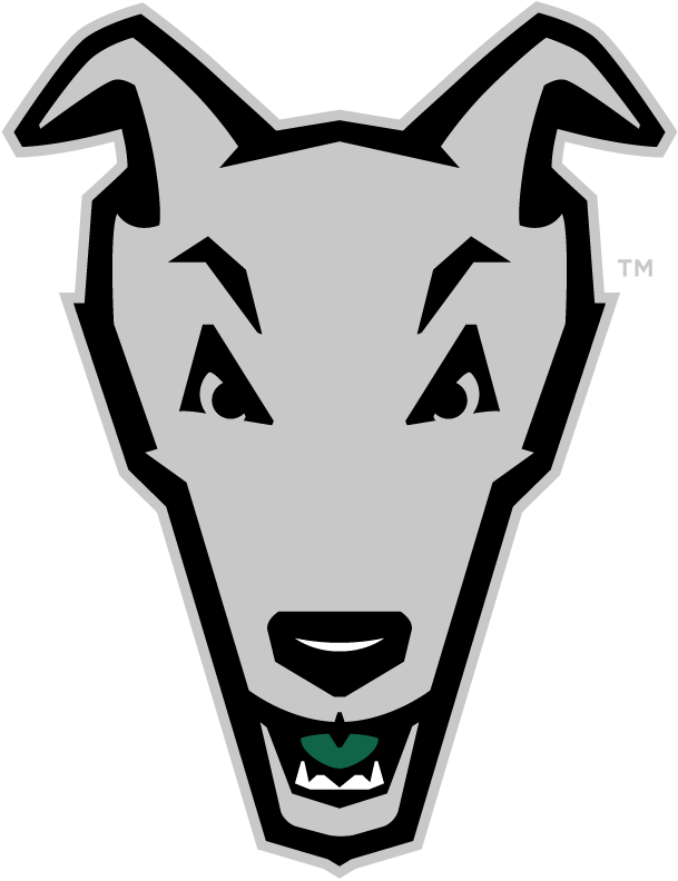 Loyola-Maryland Greyhounds 2011-Pres Alternate Logo iron on transfers for clothing